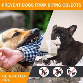 img 2 attached to 🐶 Deter Dogs' Destructive Chewing Habits with No Chew Spray: Safe, Effective, Alcohol-Free Solution for Furniture, Shoes, Clothing & More