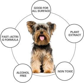 img 1 attached to 🐶 Deter Dogs' Destructive Chewing Habits with No Chew Spray: Safe, Effective, Alcohol-Free Solution for Furniture, Shoes, Clothing & More
