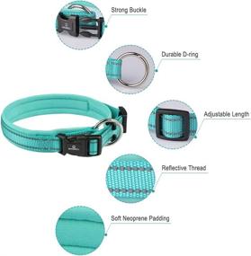 img 2 attached to MASBRILL Waterproof Dog Collar - Soft Padded Adjustable Safety Nylon Collars with Buckle - Reflective Neoprene Padded Basic Collars for Small, Medium, Large Breed Dogs