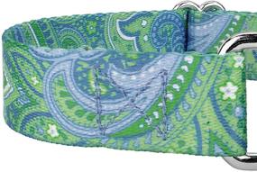 img 1 attached to 🐶 Country Brook Petz Martingale Dog Collar Paisley Collection - 6 Elegant Designs - USA Made