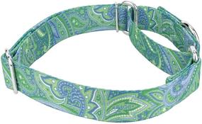 img 2 attached to 🐶 Country Brook Petz Martingale Dog Collar Paisley Collection - 6 Elegant Designs - USA Made