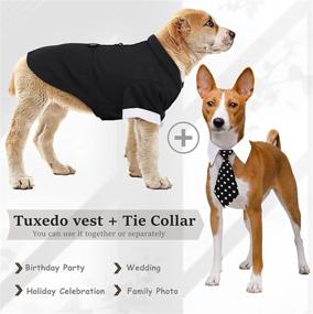 img 3 attached to 🐶 Stylish Dog Formal Suits: Tuxedo Costume Vest Set with Detachable Tie Collar for Weddings & Parties - Small, Medium, Large Dogs - Labrador, Samo, Bulldogs & More!