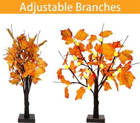 img 3 attached to 🍁 YEECHUN 24 Inch Artificial Fall Lighted Maple Tree with 24 LED Pumpkin Lights - Perfect for Halloween, Thanksgiving, Christmas & Harvest Home Decoration - Battery Operated