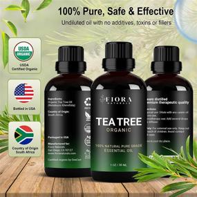 img 3 attached to 🌿 Fiora Naturals Tea Tree Oil - 100% Pure Organic Melaleuca Alternifolia Essential Oil for Face, Hair, Skin, Acne, Scalp, Foot, and Toenail Care - 1 oz /30ml