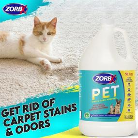 img 1 attached to 🐾 ZORBX Pet Dual Action Stain and Odor Remover - Natural Enzyme Formula. Safe for All Surfaces – Works Every Time! Ideal for Puppies, Couches, Carpets, Hardwood Floors, and Fabrics (1 Gallon)