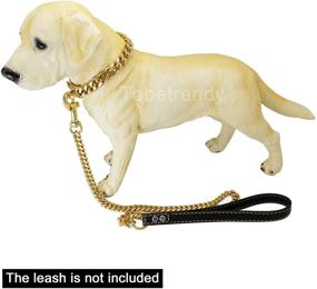 img 2 attached to 🐶 Собачий ошейник Tobetrendy Gold - 15мм ошейник "кубинское кольцо" с металлической пряжкой для пород булли (10-24 дюйма)