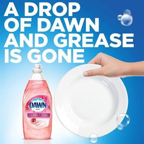 img 3 attached to 🌟 Dawn Gentle Clean Dishwashing Liquid Dish Soap Pomegranate Splash 24 oz (Pack of 2) - Powerful Cleaning with a Refreshing Burst of Pomegranate Fragrance!