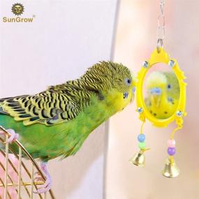 img 2 attached to 🐦 SunGrow Fancy Bird Toy Mirror with Bells and Beads - Interactive Plastic Edge, 10" x 2", Metal Hanging Loop Included - 1 pc/pack