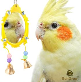 img 3 attached to 🐦 SunGrow Fancy Bird Toy Mirror with Bells and Beads - Interactive Plastic Edge, 10" x 2", Metal Hanging Loop Included - 1 pc/pack