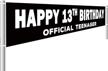 birthday official teenager supplies decorations event & party supplies logo