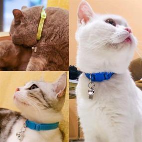 img 3 attached to LLHK Reflective Cat Collars &amp; Name Tags - 6 Pack, Breakaway Safety Kitten Collar with Bell, Adjustable 7&#39;&#39;-12&#39;&#39;, Personalized ID Tag, Pet Supplies &amp; Accessories (12 Pack)