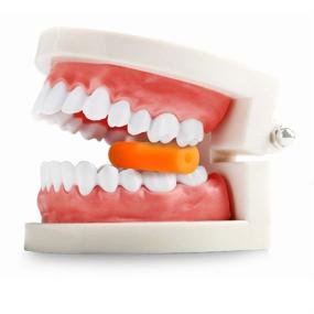img 2 attached to KISEER 24 штуки ярких ортодонтических чуи для выравнивания зубов при помощи съемных аппаратов и ложек для съемных аппаратов, сидячих устройств - 6 ярких цветов