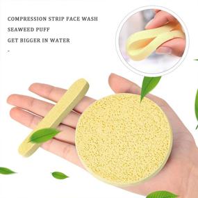 img 1 attached to 48 Pack Facial Sponges for Estheticians - Compressed, Natural Spa Face Cleansing Pads, Exfoliating Pore Cleansing, Massage Sponges