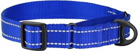 img 1 attached to 🐶 Reflective Martingale Dog Collar by CollarDirect: Heavy Duty Nylon Training Pet Collars for Small, Medium, Large Dogs & Puppies - Pink, Orange, Black, Blue