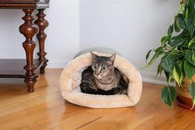 img 1 attached to 🐈 22-Inch by 14-Inch Sage Green Cat Bed by Armarkat