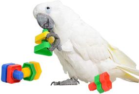 img 3 attached to 🐦 Bird Chewer Chewing Block Toys Set: 4 PCs of Foot Talon Screw Toys, Parakeet Coloured Plastic Nuts Bolts Shaped Toy - Perfect Bird Cage Playpen Play Gym Grinding Beak Toy for Cockatiel African Grey Cockatoo