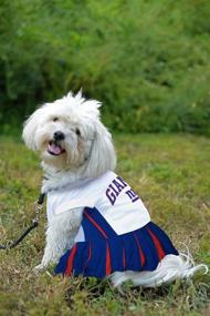 img 3 attached to York Giants Cheerleader Dress Dogs