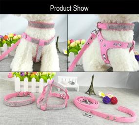 img 1 attached to 🐶 Stylish Diamante Dog Collar and Harness Set with Leashes - Newtensina Soft and Comfortable Pet Collar Harness and Leashes Set for Dogs