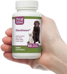 img 1 attached to 🐶 PetAlive GlucoEnsure: Herbal Supplement for Maintaining Normal Blood Sugar Levels in Pets