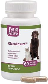 img 3 attached to 🐶 PetAlive GlucoEnsure: Herbal Supplement for Maintaining Normal Blood Sugar Levels in Pets