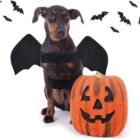 img 1 attached to 🎃 Azuza Halloween Dog Costume: LED Pumpkin Bat Wings for Cats & Dogs - Funny Cosplay Apparel for Halloween Party - 3 Sizes (Small to Large)