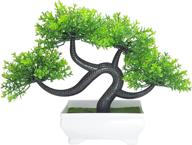 🌿 rumor flowers: small artificial bonsai tree for bedroom and farmhouse bathroom decor - 9.5 x 8.5 inch (green) логотип