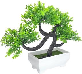 img 2 attached to 🌿 Rumor Flowers: Small Artificial Bonsai Tree for Bedroom and Farmhouse Bathroom Decor - 9.5 x 8.5 inch (Green)