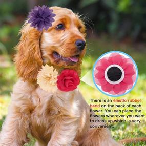 img 2 attached to 🌸 ADCSUITZ Dog Collar Flower Charm Accessories: Stylish Pet Collar, Harness, Leash Decorations for Dogs, Cats, Puppies, and Small Animals - Perfect for Small, Medium, and Large Breeds