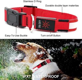 img 2 attached to 🐶 YFbrite Ultra Light USB Rechargeable LED Dog Collar - Adjustable Light-up Waterproof Flashing Dog Collar - Enhanced Visibility & Safety for Your Dogs