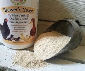 img 1 attached to 1LB Brewer's Yeast with Garlic Powder Chicken & Duck Feed Supplement by Fresh Eggs Daily