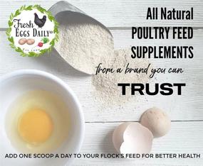 img 3 attached to 1LB Brewer's Yeast with Garlic Powder Chicken & Duck Feed Supplement by Fresh Eggs Daily