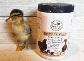 img 2 attached to 1LB Brewer's Yeast with Garlic Powder Chicken & Duck Feed Supplement by Fresh Eggs Daily
