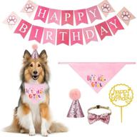 🎉 expawlorer dog birthday bandana set with hat, bow-tie, flag, and label - pet happy birthday party supplies and decorations логотип