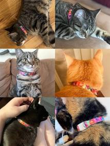 img 3 attached to 🐾 WAAAG Pet Supplies: Kaleidoscope Diamond Cat Collar, Dog Collar, Cat Leash, Dog Leash for Cats, Kittens, Small to Large Dogs