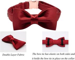 img 2 attached to 🐾 Lionet Paws Silk Dog Collar with Bowtie: Comfortable, Adjustable, Cute and Stylish Collar for Dogs - Perfect for Puppies, Small, Medium and Large Sizes, Ideal for Both Girls and Boys
