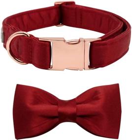 img 4 attached to 🐾 Lionet Paws Silk Dog Collar with Bowtie: Comfortable, Adjustable, Cute and Stylish Collar for Dogs - Perfect for Puppies, Small, Medium and Large Sizes, Ideal for Both Girls and Boys