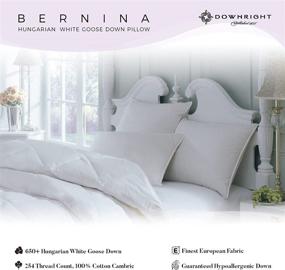 img 3 attached to 🛏️ Downright 254 Thread Count Bernina Down Pillow – 20oz, Queen Size (20x30)