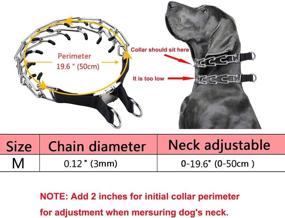 img 2 attached to Aheasoun Dog Prong Training Collar: Adjustable Stainless Steel Links with Comfort Rubber Tips and Quick Release Metal Buckle, Perfect for Small to Medium Dogs