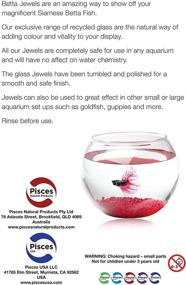 img 2 attached to Pisces Ruby Betta Jewels Size