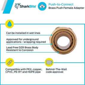 img 1 attached to 🦈 SharkBite U088LFA Lead Free Straight Connector: 3/4-Inch FNPT Connection - High Quality Plumbing Fitting