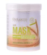 salerm cosmetics capillary mask provitamins hair care logo