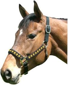 img 2 attached to Premium Padded Nose Leather 👑 Crown Diamond Halter by Intrepid International