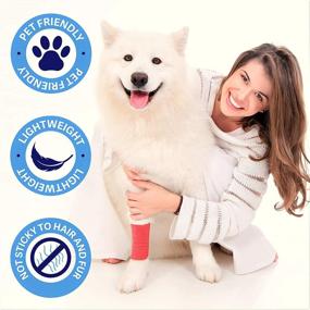 img 1 attached to Self Adhesive Cohesive Bandage Wrap - Vet Wrap - 2 Inch x 15 Feet / 12 Pack - Elastic, Breathable, Non-Woven - Assorted Vibrant Colors - Versatile Athletic Tape for Injury Support, Tattoo Grip Tape, Pet Wound Care