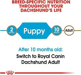 img 1 attached to 🐶 2.5 lb Bag of Royal Canin Dachshund Puppy Breed-Specific Dry Dog Food