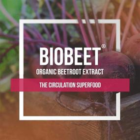 img 3 attached to BioBeet® Strength Beet Root Capsules