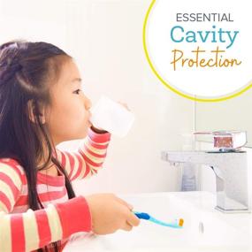 img 1 attached to 🦷 Oxyfresh Cavity Protection Fluoride Mouthwash – Fluoride Mouthwash for Sensitive Teeth – Non-Staining, Kid-Friendly – Long-Lasting Fresh Breath. 16 oz.