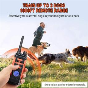 img 2 attached to 🐶 Petrainer PET616A: Waterproof Remote Dog Training Collar with Beep, Vibrate & Static Functions - Rechargeable, Effective Training Solution