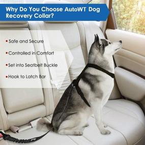 img 3 attached to 🐶 Enhanced AUTOWT 2 in 1 Latch Bar Attachment Dog Seat Belt | Metal Buckle | Elastic Bungee & Reflective Nylon | Connects to Dog Harness for Optimal Pet Safety