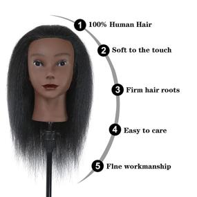img 2 attached to 💇 DANSEE 100% Genuine Human Hair Mannequin Head - Styling Training Head with Free Clamp for Cosmetology Dolls