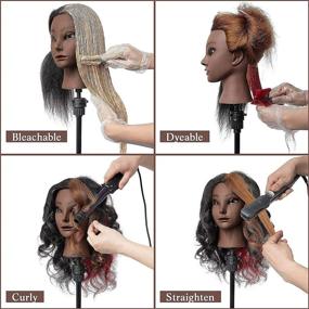 img 1 attached to 💇 DANSEE 100% Genuine Human Hair Mannequin Head - Styling Training Head with Free Clamp for Cosmetology Dolls
